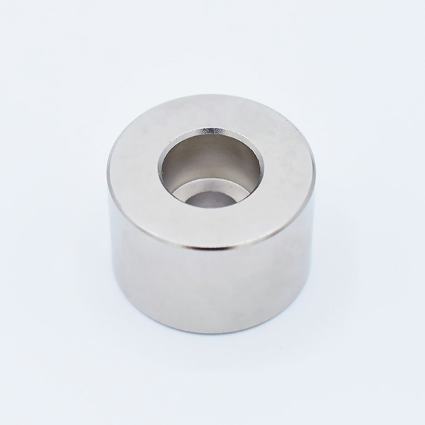 公式 ネオジム磁石 丸型 円柱型 φ17.5×4 2個入 1袋 NTS0730